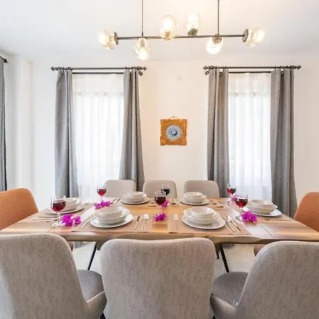 Willa Leyla - Center *