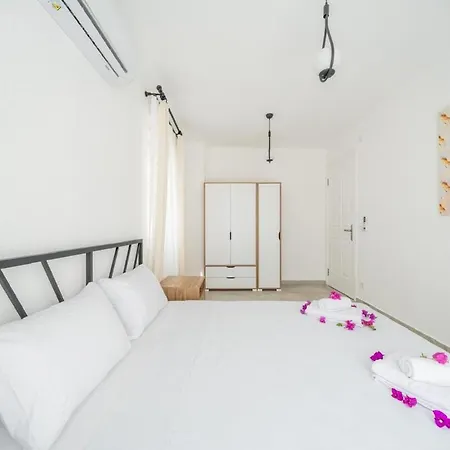 Willa Leyla - Center *