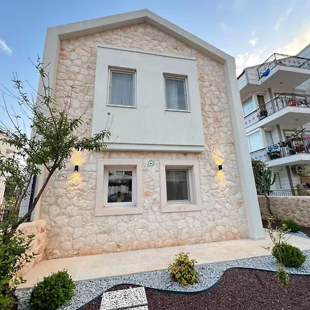 Willa Leyla - Center *