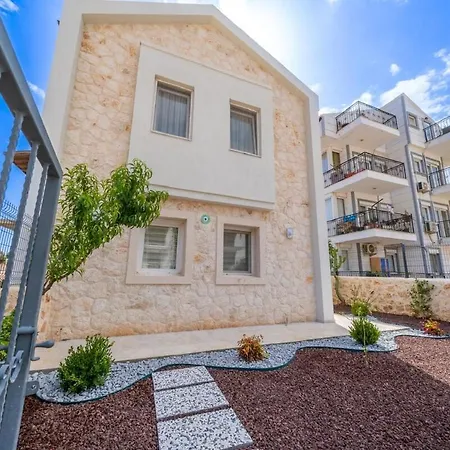 Leyla - Center Willa *